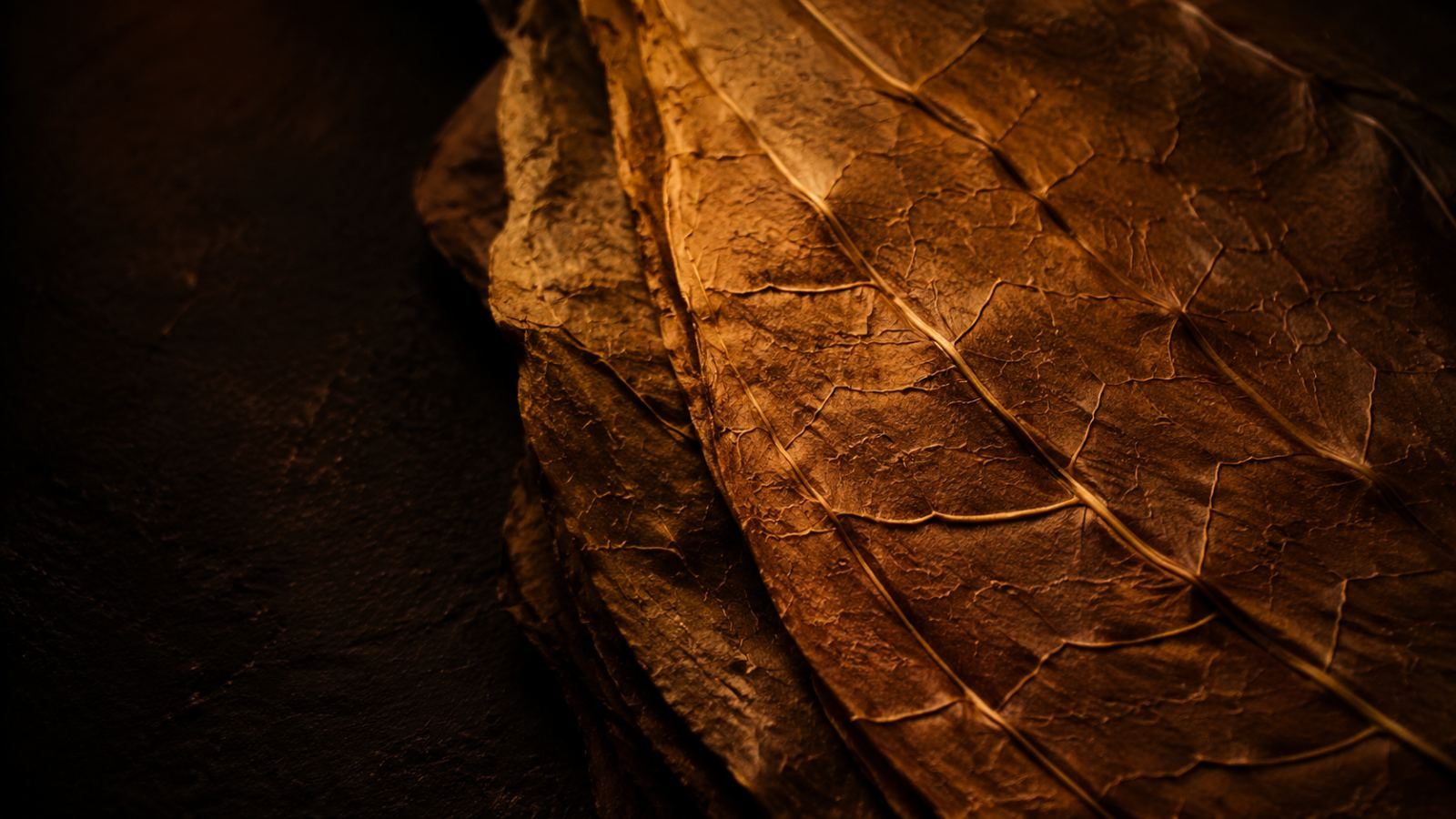 Cured tobacco leaves and cut filler in low light