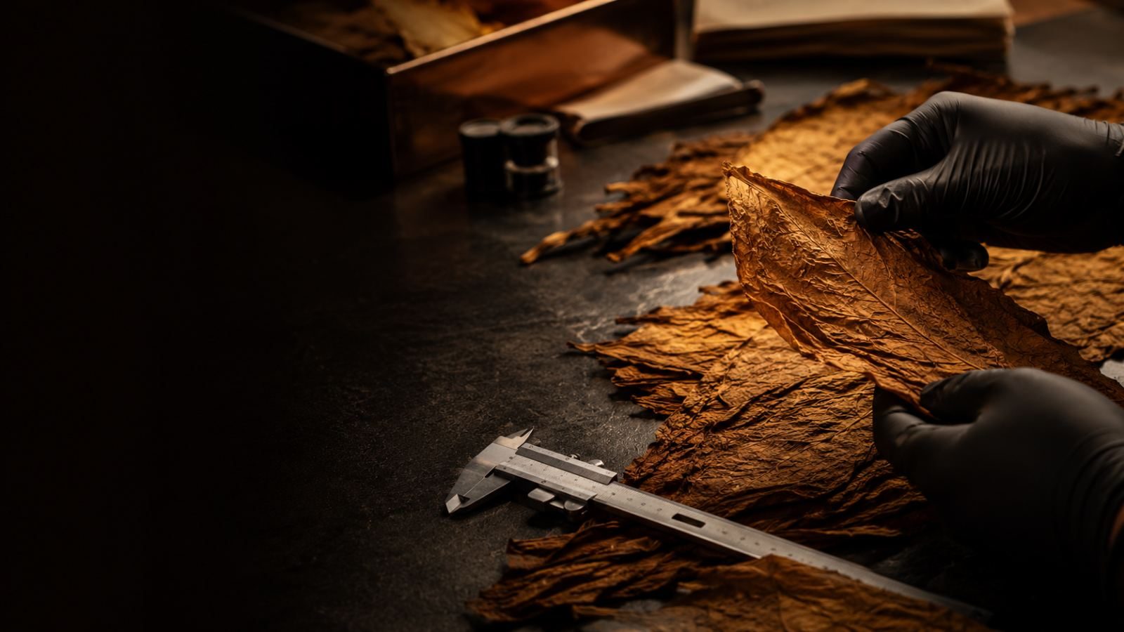 Leaf measured with calipers during grading