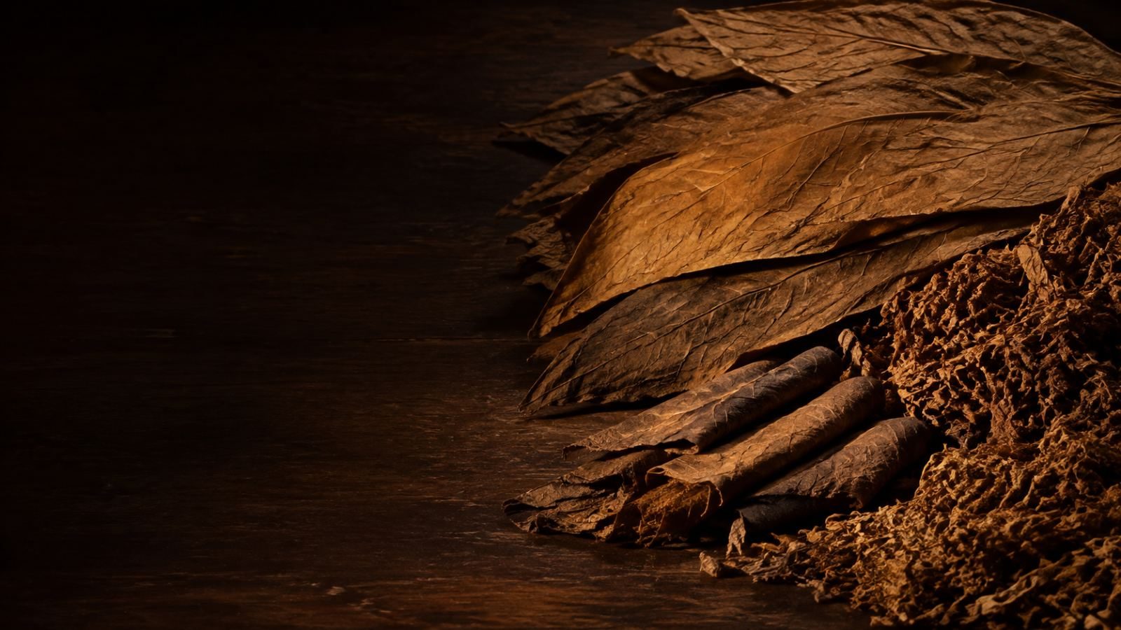 Cured tobacco leaves and cut filler in warm light
