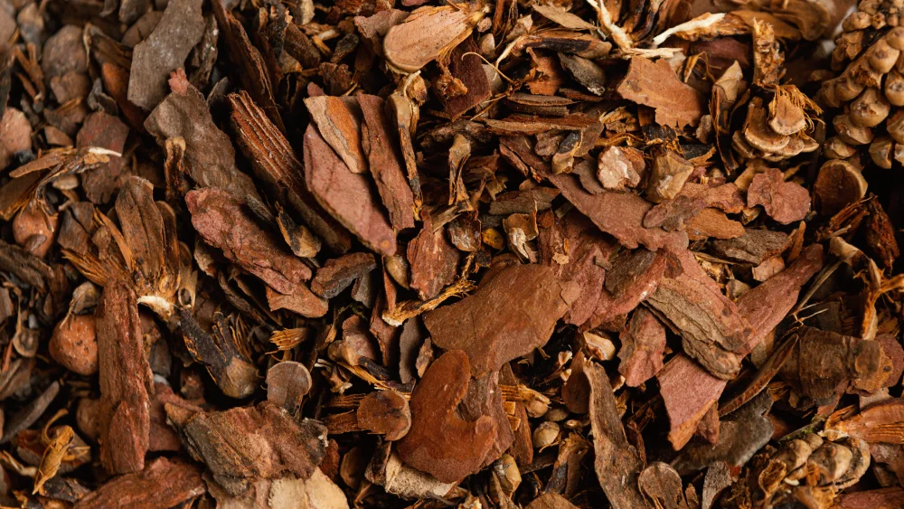 Exploring ETC’s Tobacco Leaf